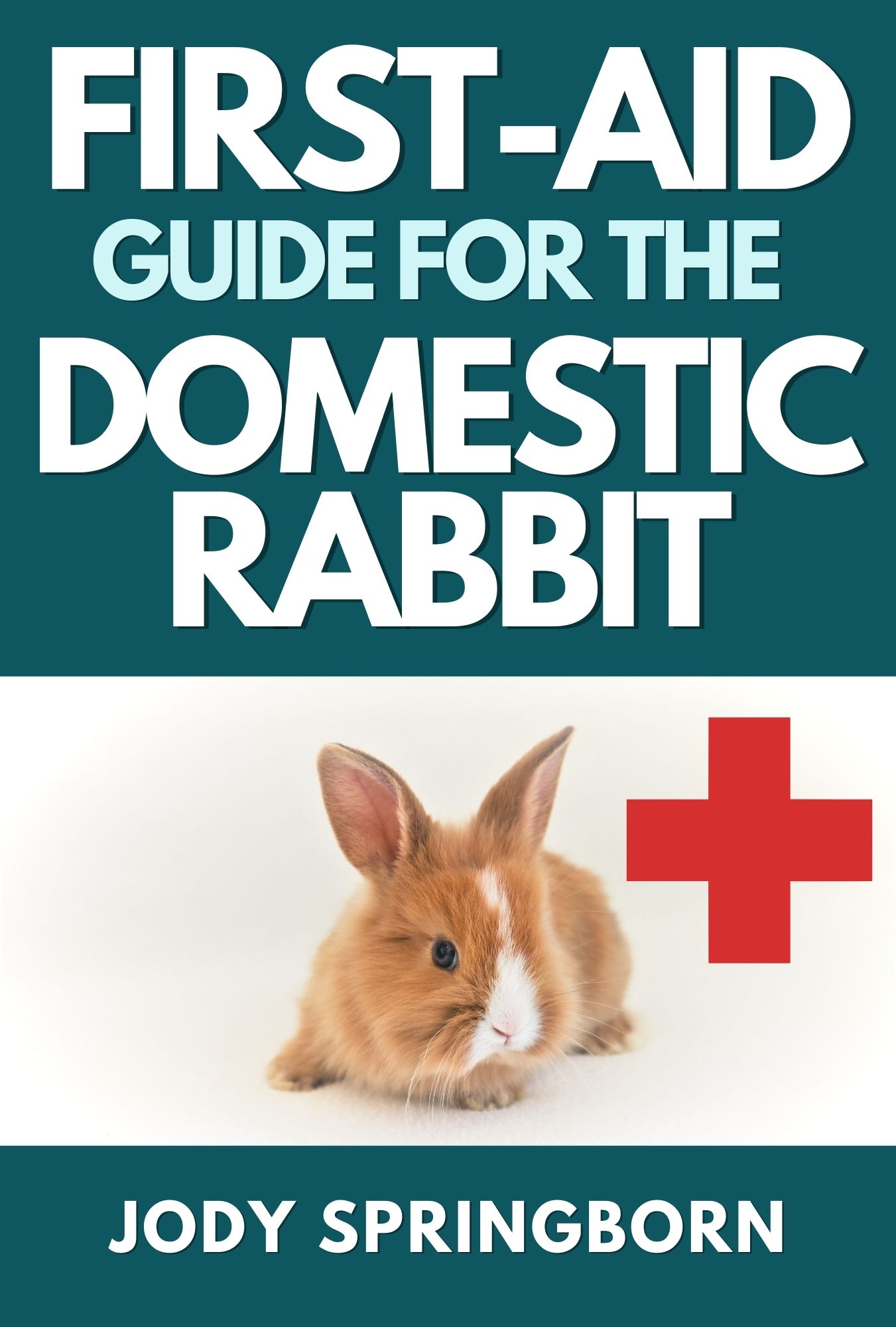 Rabbit_First_Aid_V5.jpg
