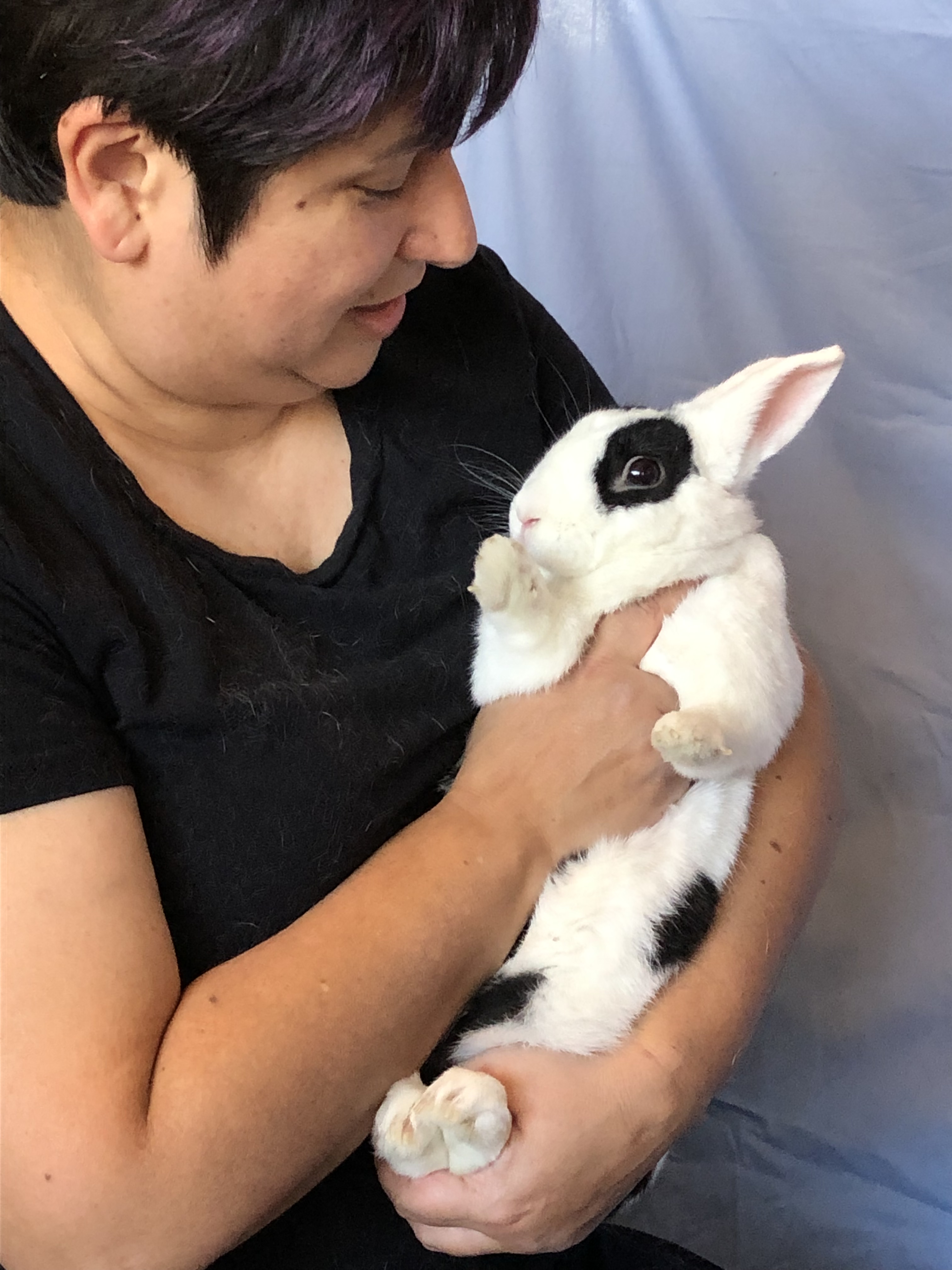 Handling Rabbits