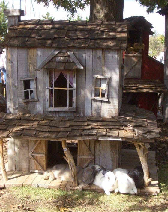 Bunny House 