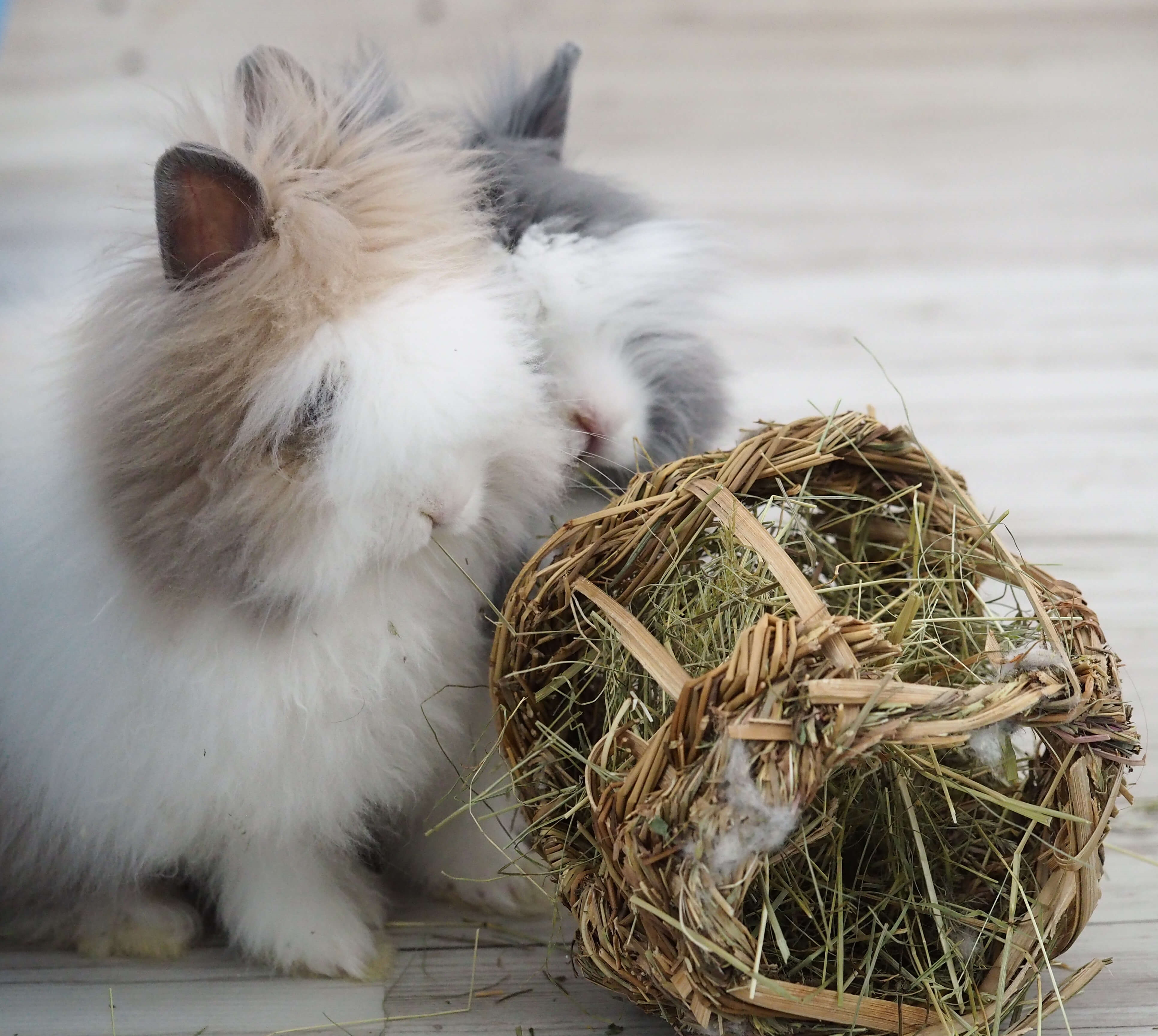 RIP Rabbit Plush Toy